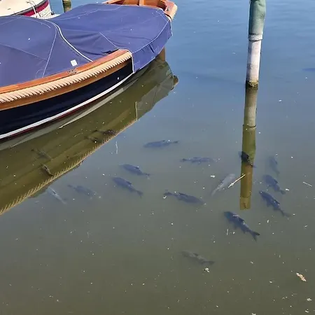 Idyllische Nacht Auf Hollaendischem Wanderboot Bådhotel